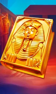 Book of Gold Multichance