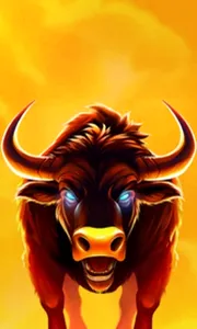 Big Wild Buffalo 2